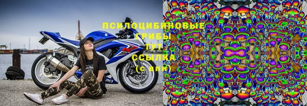 соль курить ск Липки