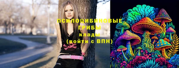бошки Лихославль