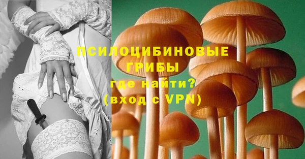 соль курить ск Липки