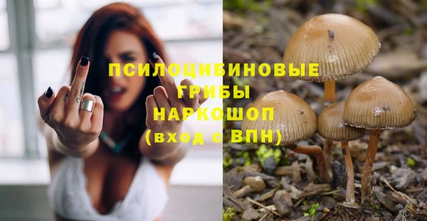 спиды Магас