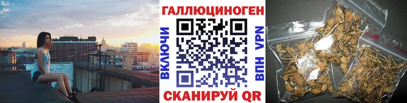 Псилоцибиновые грибы Cubensis  Купить закладки  Красково 